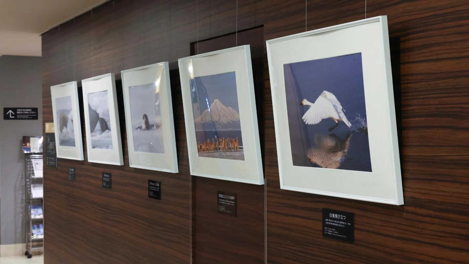 Dormy Inn Wakkanai Hotel
